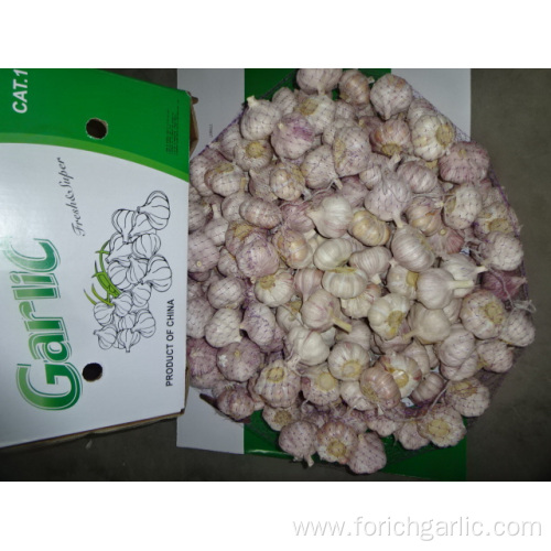 Normal White Garlic From Jinxiang 2019